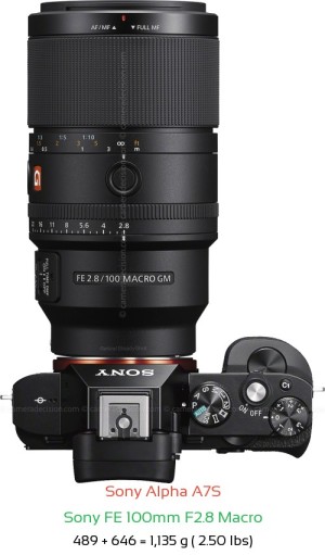 Sony A7S with Sony FE 100mm F2.8 Macro Lens Size