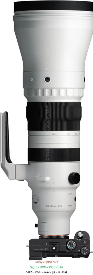 Sony A7c with Sigma 300-600mm f4 Lens Size