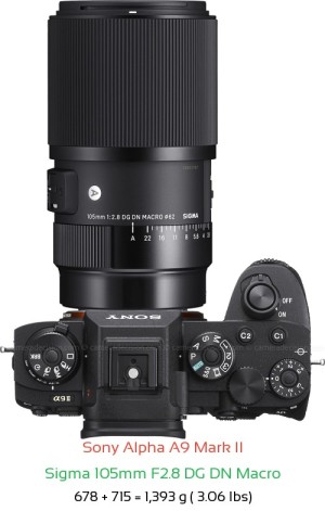 Sony A9 II with Sigma 105mm F2.8 DG DN Macro Lens Size