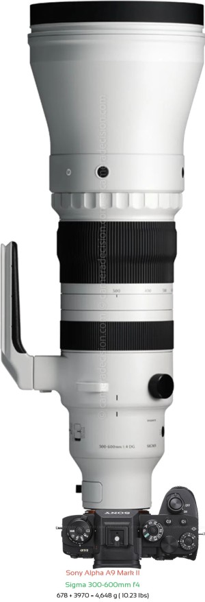 Sony A9 II with Sigma 300-600mm f4 Lens Size