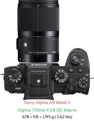 Sony A9 II with Sigma 70mm F2.8 DG Macro Lens Size