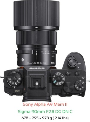 Sony A9 II with Sigma 90mm F2.8 DG DN C Lens Size