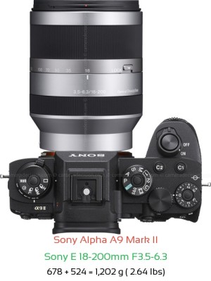 Sony A9 II with Sony E 18-200mm F3.5-6.3 Lens Size
