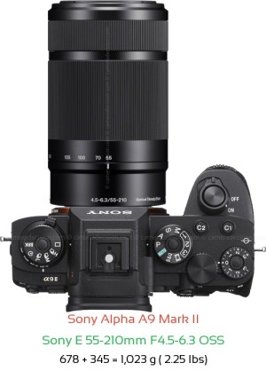 Sony A9 II with Sony E 55-210mm F4.5-6.3 OSS Lens Size