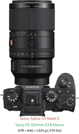 Sony A9 II with Sony FE 100mm F2.8 Macro Lens Size