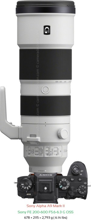 Sony A9 II with Sony FE 200-600 F5.6-6.3 Lens Size