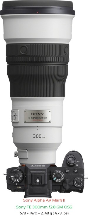 Sony A9 II with Sony FE 300mm f2.8 GM Lens Size