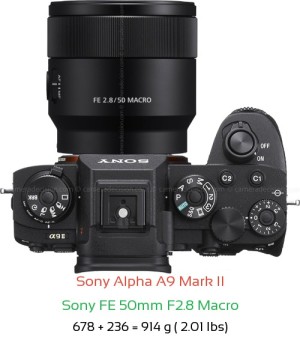 Sony A9 II with Sony FE 50mm F2.8 Macro Lens Size