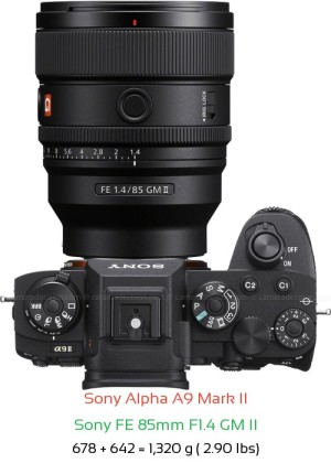 Sony A9 II with Sony FE 85mm F1.4 GM II Lens Size