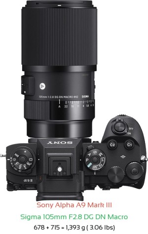 Sony A9 III with Sigma 105mm F2.8 DG DN Macro Lens Size