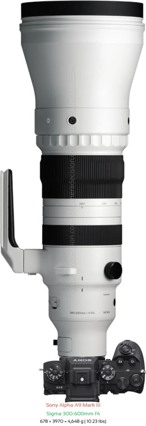 Sony A9 III with Sigma 300-600mm f4 Lens Size