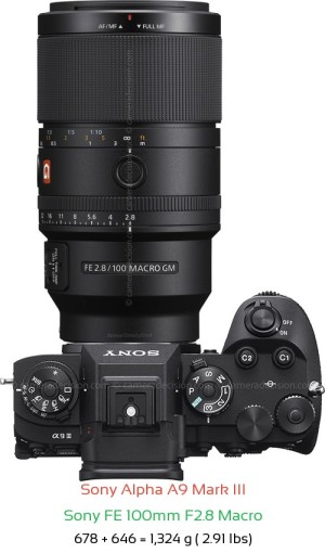 Sony A9 III with Sony FE 100mm F2.8 Macro Lens Size