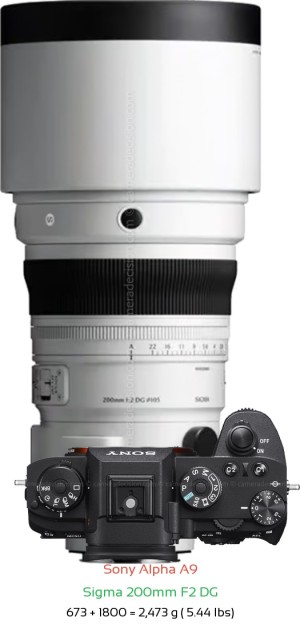 Sony A9 with Sigma 200mm F2 DG Lens Size