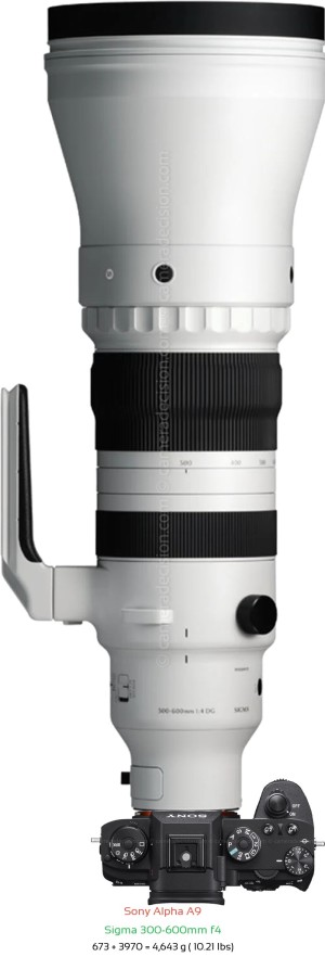 Sony A9 with Sigma 300-600mm f4 Lens Size