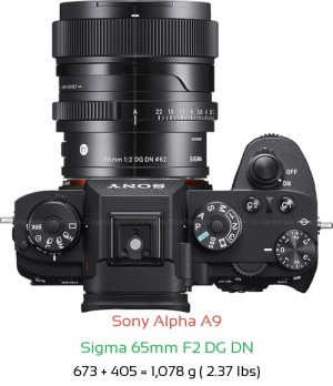 Sony A9 with Sigma 65mm F2 DG DN Lens Size