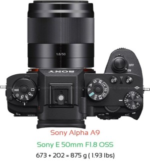 Sony A9 with Sony E 50mm F1.8 OSS Lens Size