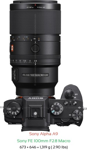 Sony A9 with Sony FE 100mm F2.8 Macro Lens Size