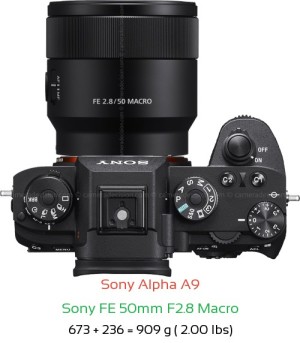 Sony A9 with Sony FE 50mm F2.8 Macro Lens Size