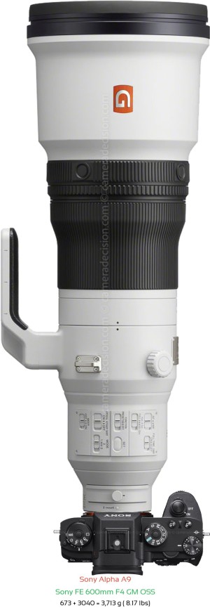 Sony A9 with Sony FE 600mm F4 GM Lens Size