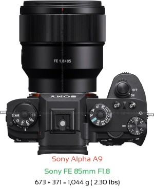 Sony A9 with Sony FE 85mm F1.8 Lens Size