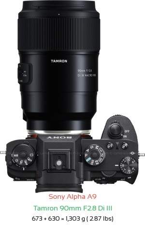 Sony A9 Camera and Sigma 70mm F2.8 DG Macro Lens