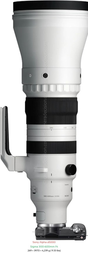 Sony a5000 with Sigma 300-600mm f4 Lens Size