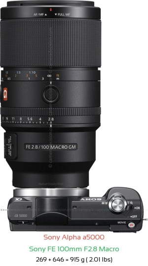 Sony a5000 with Sony FE 100mm F2.8 Macro Lens Size