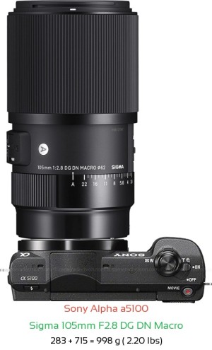 Sony a5100 with Sigma 105mm F2.8 DG DN Macro Lens Size