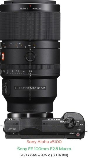 Sony a5100 with Sony FE 100mm F2.8 Macro Lens Size