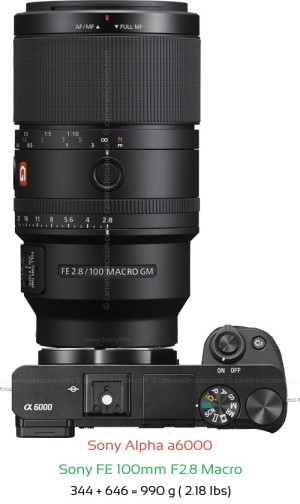 Sony A6000 with Sony FE 100mm F2.8 Macro Lens Size