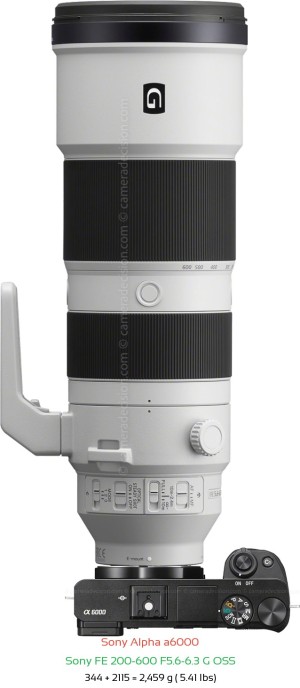 Sony A6000 with Sony FE 200-600 F5.6-6.3 Lens Size