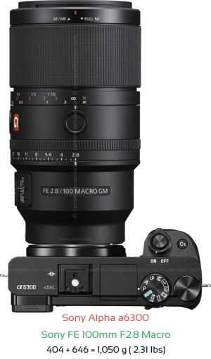 Sony A6300 with Sony FE 100mm F2.8 Macro Lens Size