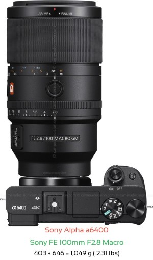 Sony A6400 with Sony FE 100mm F2.8 Macro Lens Size