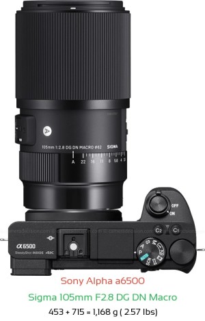 Sony A6500 with Sigma 105mm F2.8 DG DN Macro Lens Size