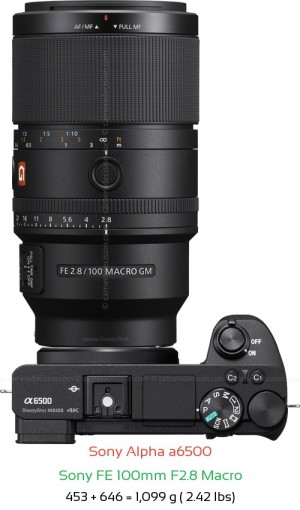 Sony A6500 with Sony FE 100mm F2.8 Macro Lens Size