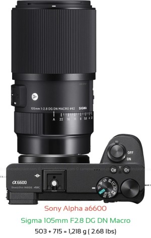 Sony A6600 with Sigma 105mm F2.8 DG DN Macro Lens Size