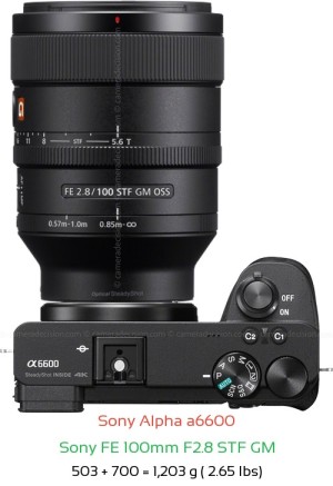 Sony A6600 with Sony FE 100mm F2.8 STF GM Lens Size
