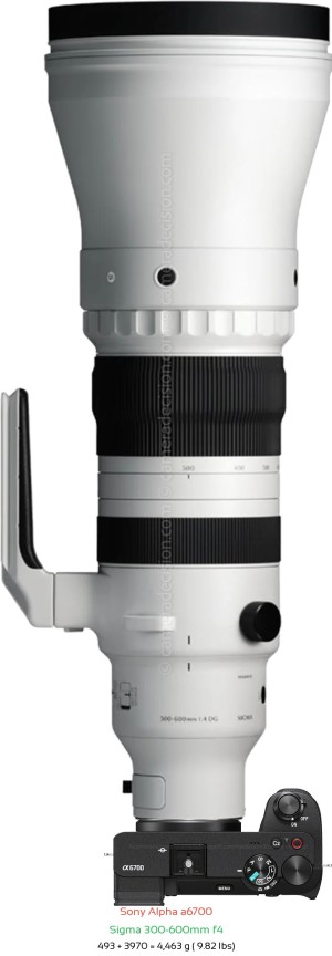 Sony A6700 with Sigma 300-600mm f4 Lens Size