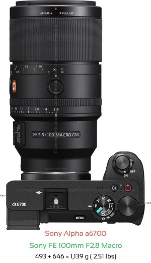 Sony A6700 with Sony FE 100mm F2.8 Macro Lens Size