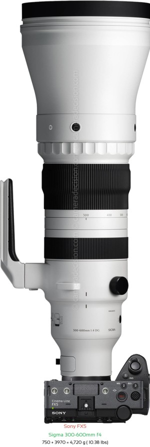 Sony FX5 with Sigma 300-600mm f4 Lens Size