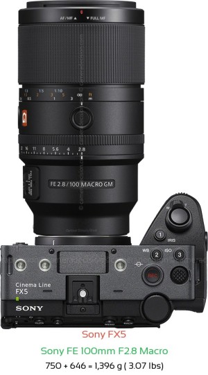 Sony FX5 with Sony FE 100mm F2.8 Macro Lens Size