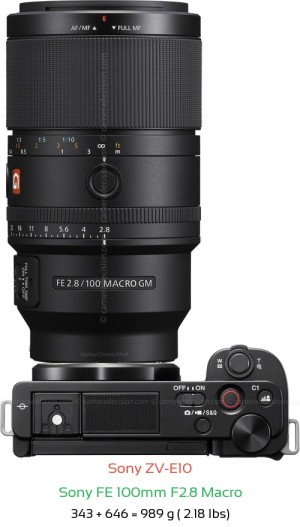 Sony ZV-E10 with Sony FE 100mm F2.8 Macro Lens Size