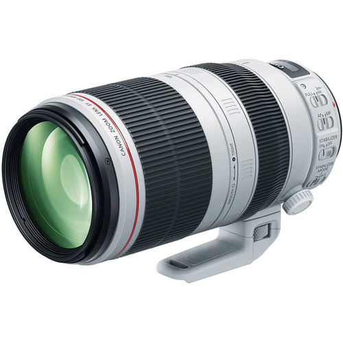 Canon 100-400mm f4.5-5.6L IS II USM - Image 1