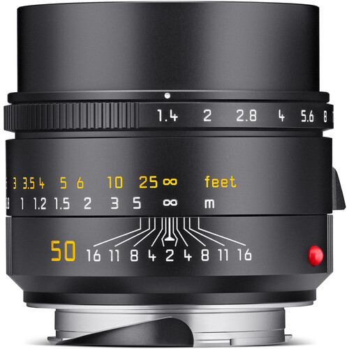 Leica M 50mm F1.4 2023 - Image 1