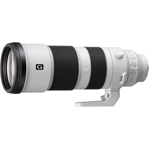 Sony FE 200-600 F5.6-6.3 - Image 1