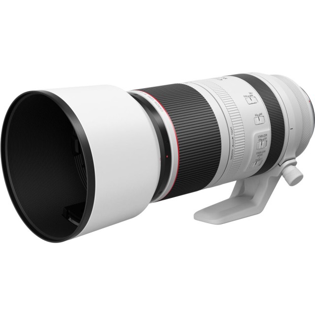 Canon RF 100-500mm F4.5-7.1L IS USM 