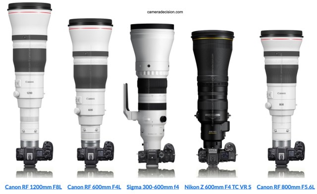 Canon RF 1200mm vs Canon RF 600mm F4 vs Sigma 300-600mm  F4 vs Nikon Z 600mm F4 vs RF 800mm F5.6