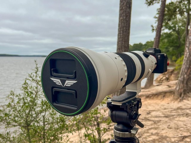 Sigma 300-600mm F4 DG OS Sports Lens Review
