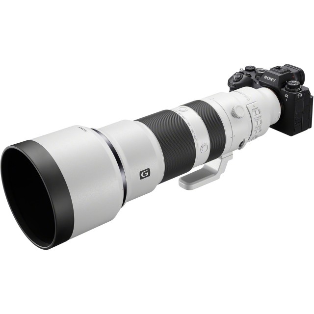 Sony FE 400-800mm f6.3-8 G OSS Lens with the Sony A1 Camera