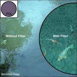 Cokin 46mm Circular Polarizer Filter (Black or Silver) for the Panasonic 25mm F1.4 II ASPH